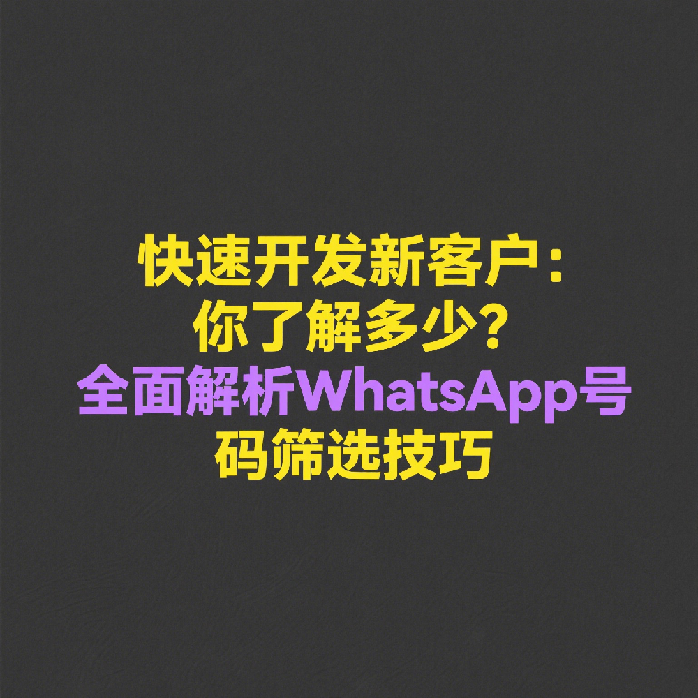 你了解多少？全面解析WhatsApp号码筛选技巧