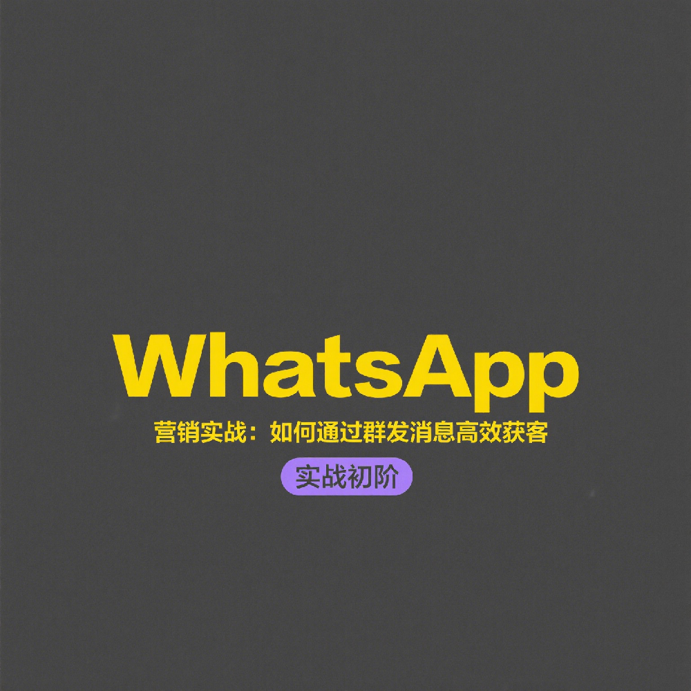 WhatsApp营销实战：如何通过群发消息高效获客